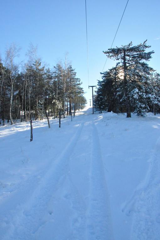 Apartments Varga Divčibare Екстериор снимка